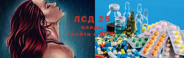 амф Зерноград